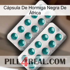 Cápsula De Hormiga Negra De África dapoxetine2